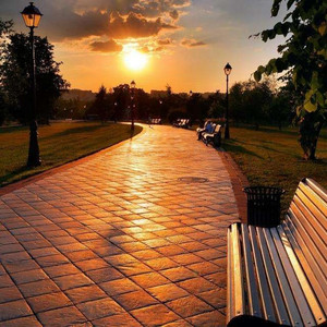 大黑鸡巴操逼片
