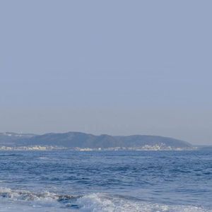 大黑鸡巴操逼片
