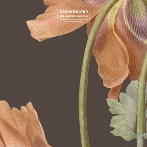 大黑鸡巴操逼片
