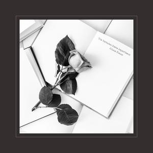 大黑鸡巴操逼片
